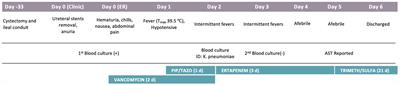 Deceiving Phenotypic Susceptibility Results on a Klebsiella pneumoniae Blood Isolate Carrying Plasmid-Mediated AmpC Gene blaDHA-1